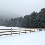 Woodstock : une destination à ne pas rater