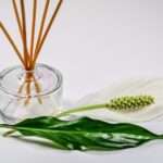 Comment marier les couleurs pour une décoration harmonieuse ?