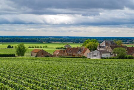 Sur la route des vins : voyage gourmand en Bourgogne