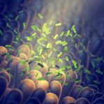 L’intestin, notre deuxième cerveau : comprendre le microbiome