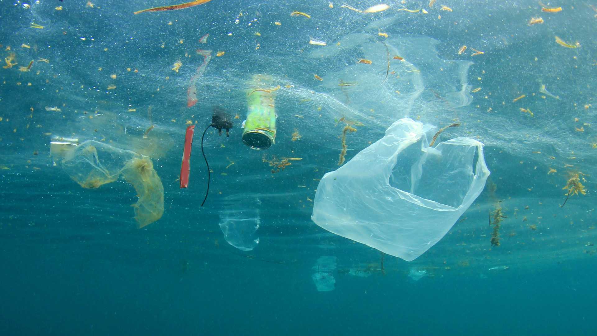 pollution dans les océans 